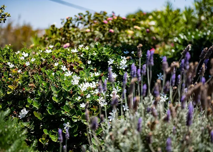 Melangio Private Pool & Sunrise Views - Location Willa Agios Ioannis Diakoftis