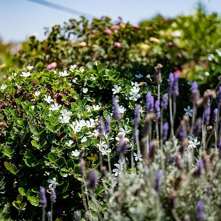 Melangio Private Pool&sunrise Views - Location Villa Agios Ioannis Diakoftis